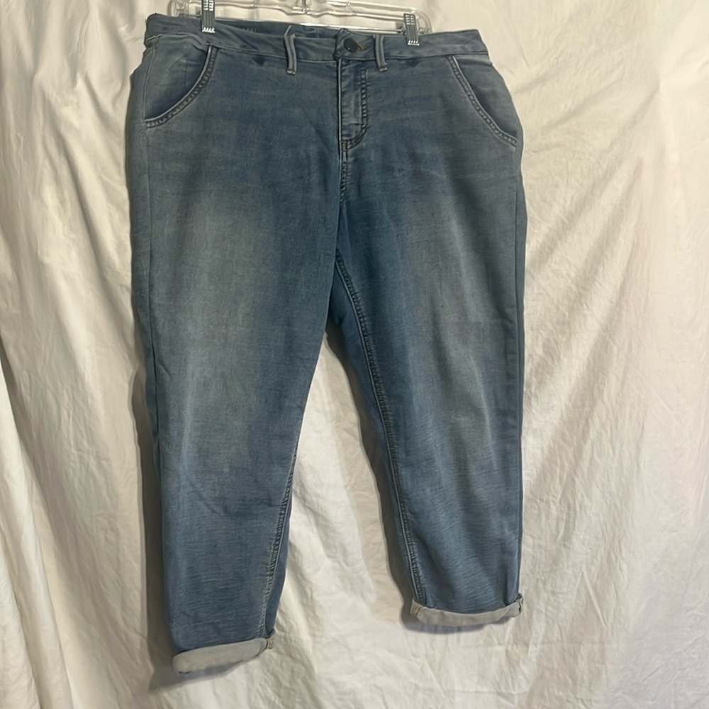 Lane Bryant capri